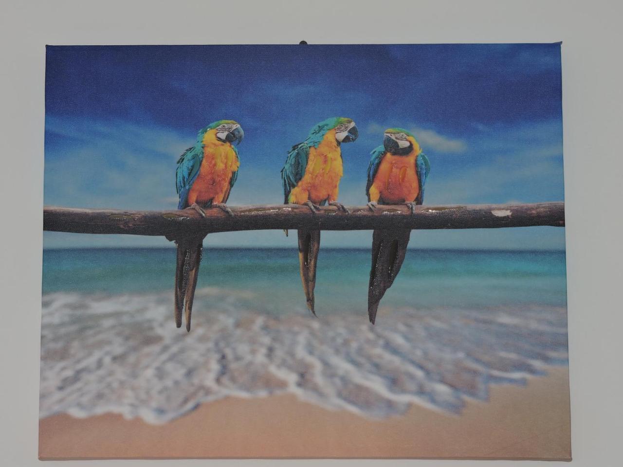 B&B Bellavista Willemstad Exteriér fotografie